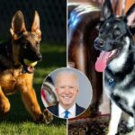 Jim Jordan (R-Ohio) endorsed by Former President Donald Trump for Speaker