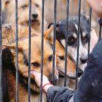 American mother and daughter released by Hamas