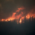 Trade Schools: A Fast Track to High-Paying Careers