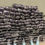 Michigan Supreme Court Ruling Boosts Minimum Wage to $12 per Hour, Affecting 494,000 Workers