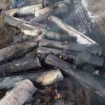 Concerns Rise Over Purina Pet Food Amid Reports of Illness and Deaths in Pets