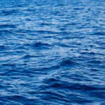 Michigan lawmakers propose bills that would force the state to use 100% solar and wind energy