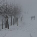 Two Illegal Immigrants Among Four Arrested in Genesee County Child Exploitation Sting