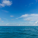 Ford Motor Company gets $9.2 Billion taxpayer loan